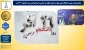 پیام تبریک رئیس دانشگاه ملی مهارت استان گیلان به مناسبت گرامیداشت روز دانشجو ۱۶ آذر